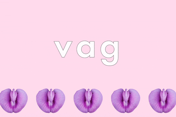 What Does A Pretty Vag Look Like
